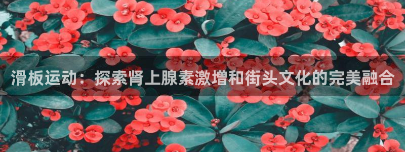 必发集团welcome欢迎光临|滑板运动：探索肾上腺素激增和