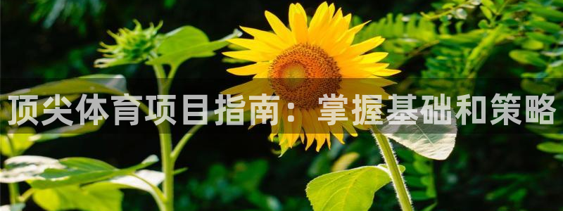 必发集团登录入口7790会员